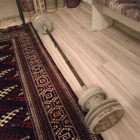 ştanga