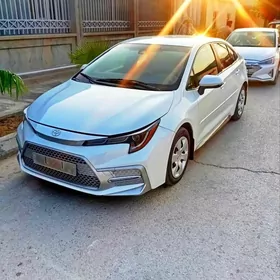 Toyota Corolla 2021