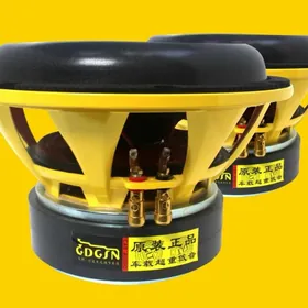 BASS 1800W