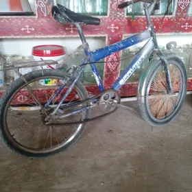 welsepit