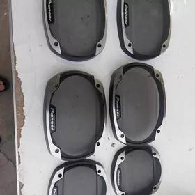 pioneer setka