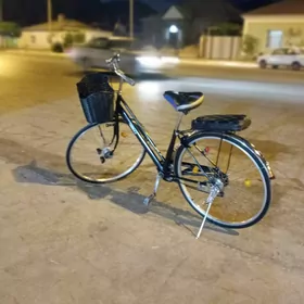 dubaý welik