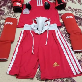 box esigi