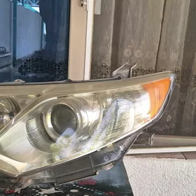 palta camry fara