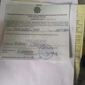 dakyment