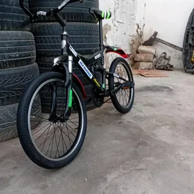 tıgır 20 lık