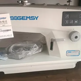 SGGEMSY.   8802