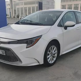 Toyota Corolla 2019