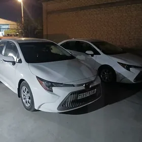 Toyota Corolla 2020