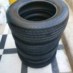 Ayak 235/65 R17