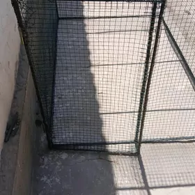 towuk ketek