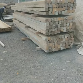 ağaç 10/10 5/10