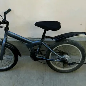 çagalan tigir 18