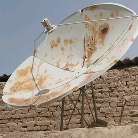 uly antena