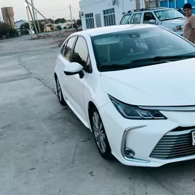 Toyota Corolla 2020