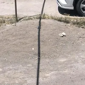 отсев