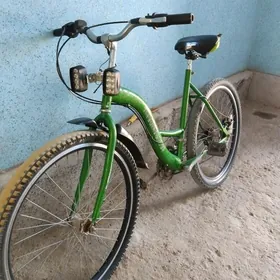 turkmenistan tigir