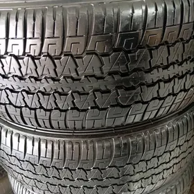 265/55/19/4şt Dunlop