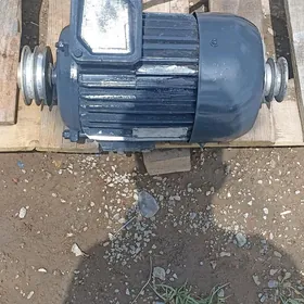 Elektre motor