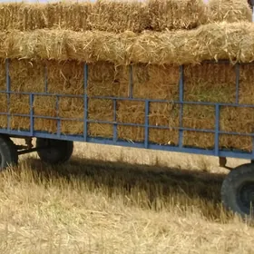 MTZ 80 2010