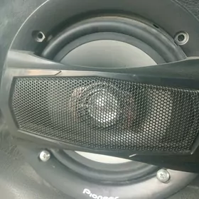 pioneer kalonka