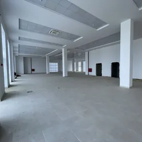 Satlyk bina, griboýedow köçe.