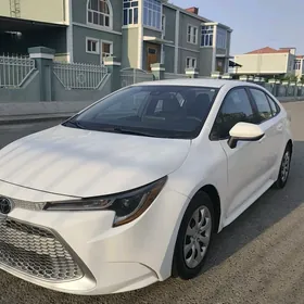 Toyota Corolla 2021