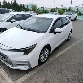 Toyota Corolla 2020
