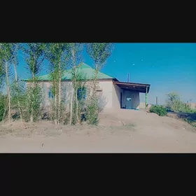 Jay