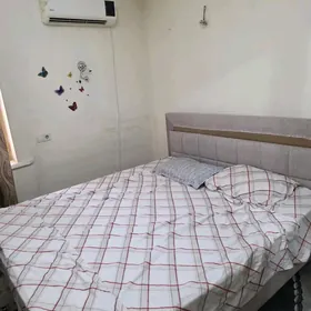 ️Arenda Alisher Novayy 2 kom