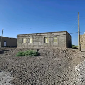 satlyk jaylar DEHKANAZAT.
