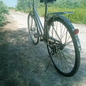 ýapoşka 27 lik