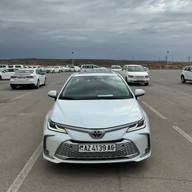 Toyota Corolla 2023