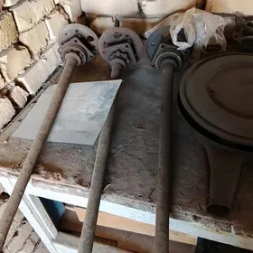 palawos