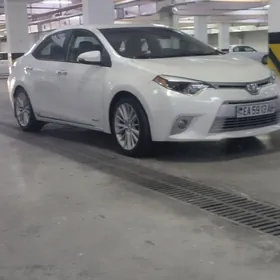 Toyota Corolla 2014