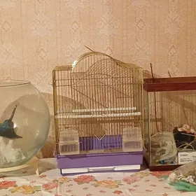 Аквариумы и клетка