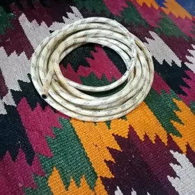 Шланга