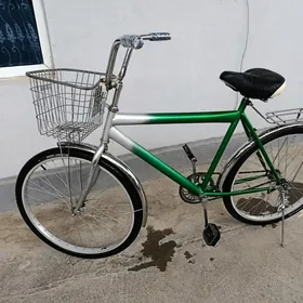 tigir 26 lyk