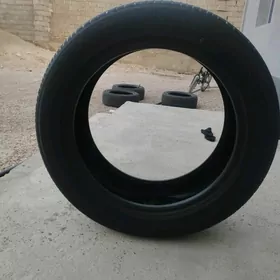 ayak