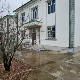 Taze Zaman Kotej