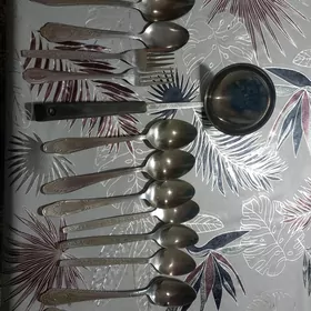 паловников