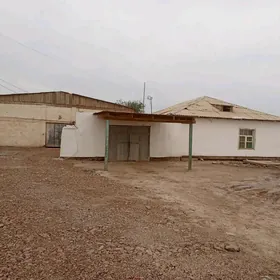 ARENDA ŸER, ZDANIŸA