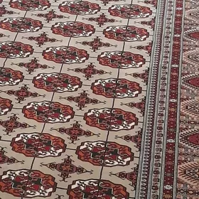 Iran Hali