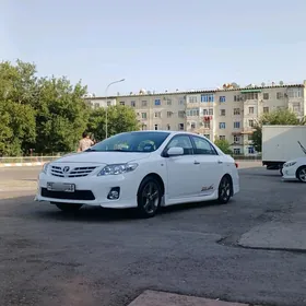 CAROLLA SKLAS PAROK OBLEN LE B
