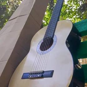 jzlinsc klastik gitara