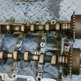 wanus  2.5  okiz kelle