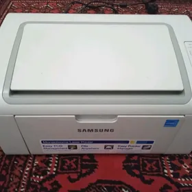 Printer Samsung ML-2165