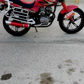 Fekon FK150-8G 2014