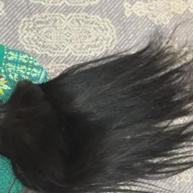 narashevnie sac