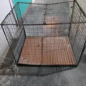 jüje salmak ücin saetka